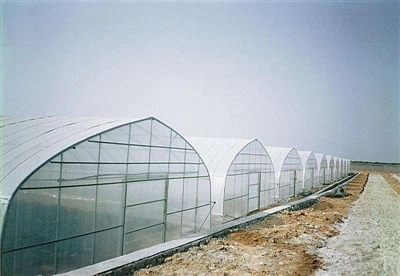 Zavodingizning ehtiyojlariga ko'ra issiqxona plastmassasini tanlash